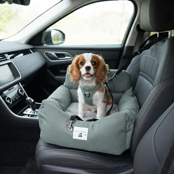 Dog Car Seat