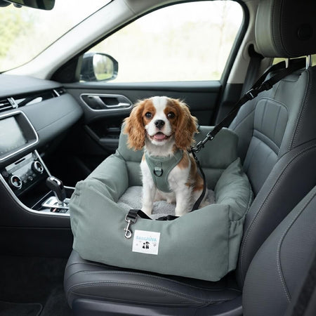 Dog Car Seat