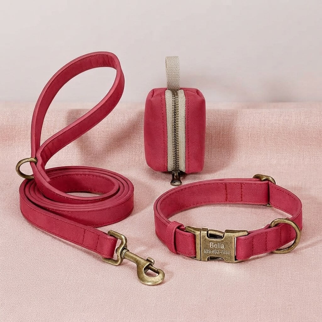 Custom Dog Collar Leash Bag Set