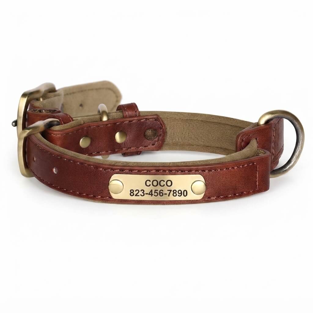 Personalized dog collar, individually engraved PU leather dog collars, free engraving