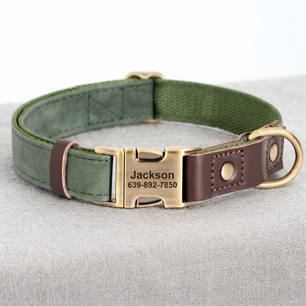 Custom-made dog collar