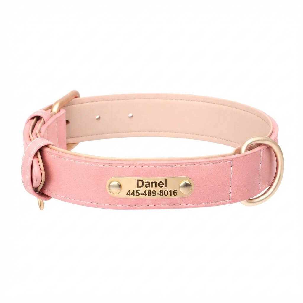 Personalized dog collar, individually engraved PU leather dog collars, free engraving