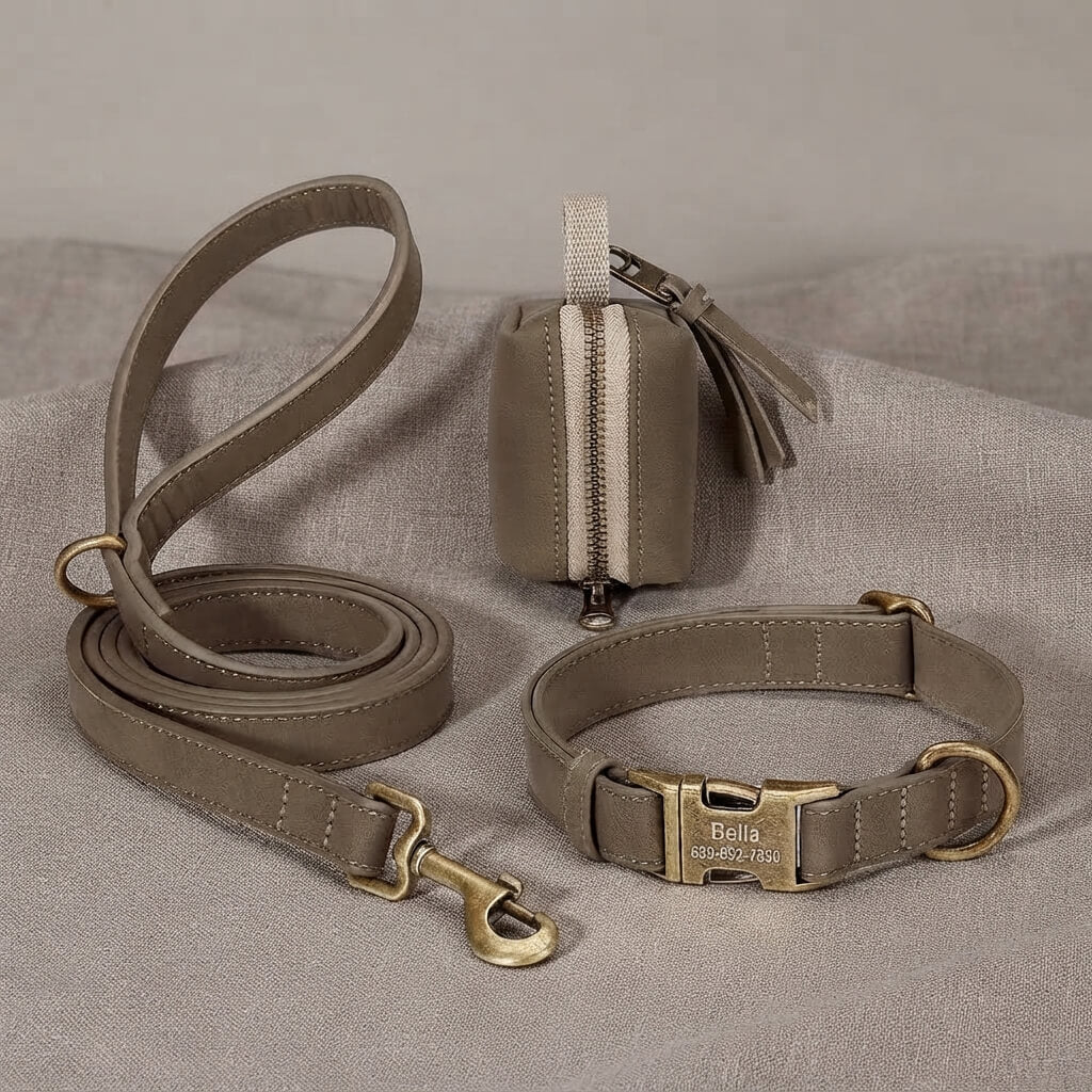 Custom Dog Collar Leash Bag Set