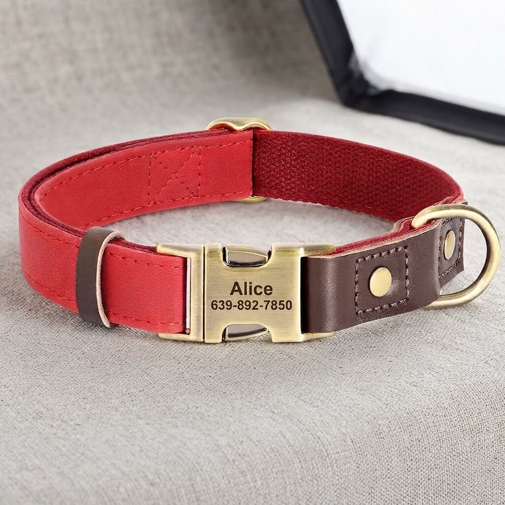 Custom-made dog collar