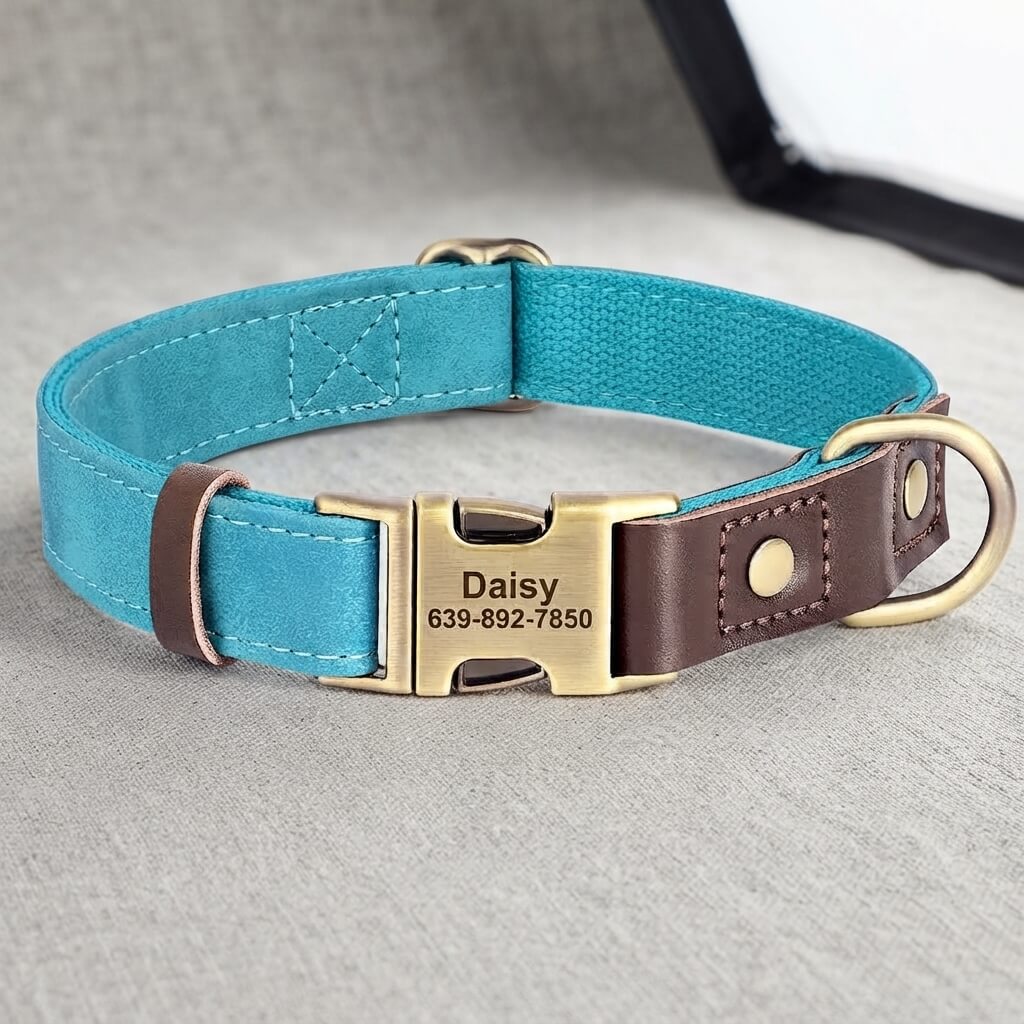 Custom-made dog collar