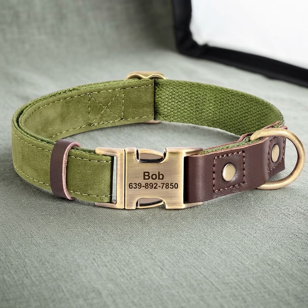 Custom-made dog collar