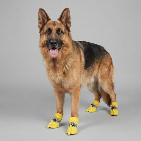 4-Piece Waterproof Non-Slip Dog Shoes